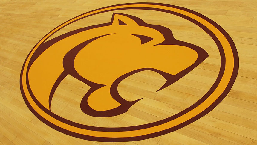 sports court logo design